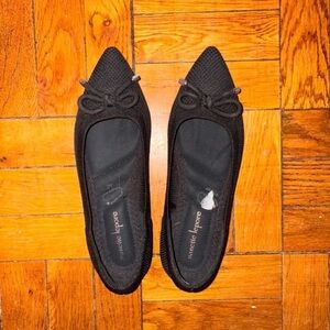 Anniel Black Pointed Toe Flats